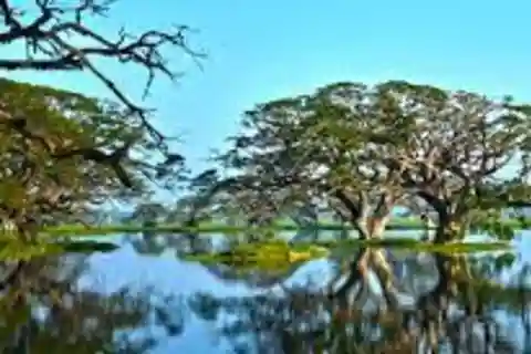 Thissa Lake Boat Safari