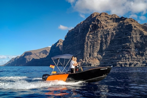 Live the ocean without license and discover Los Gigantes 3 hr live the ocean be the captain and discover Los Gigantes