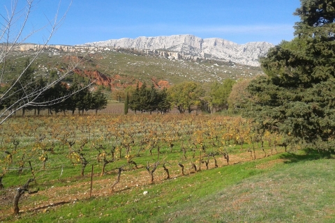 From Aix-en-Provence: Luberon Villages & Provence Wines Tour