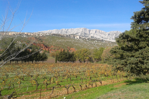 Depuis Aix-en-Provence : Visite des villages du Luberon et des vins de Provence