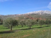 From Aix-en-Provence, Wine Tour in Cezanne Countryside - Housity
