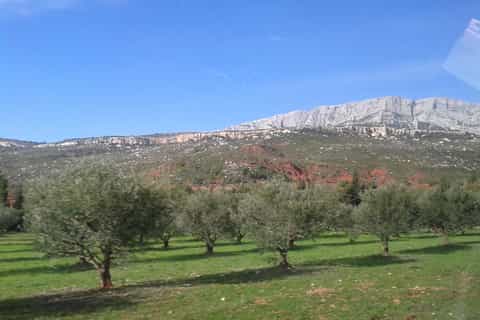 Aix-en-Provence: 3.5-Hour Wine Tasting in Cezanne Country
