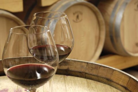 Aix-en-Provencesta: Viinikierros Cezannen maaseudulla