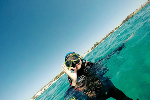 Hammamet: Guided Diving Experience with Hotel Transfer