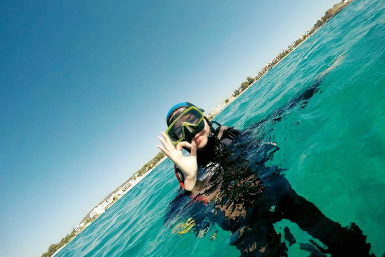 Hammamet: Guided Diving Experience with Hotel Transfer