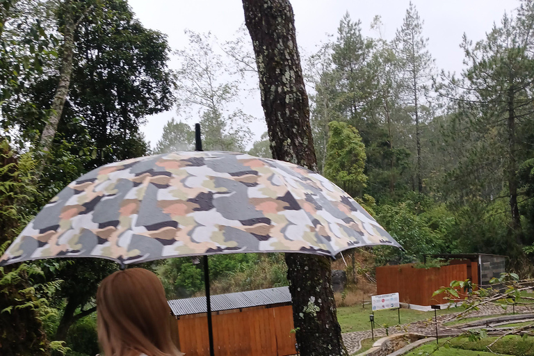 Tangkuban Perahu Mountain Tour