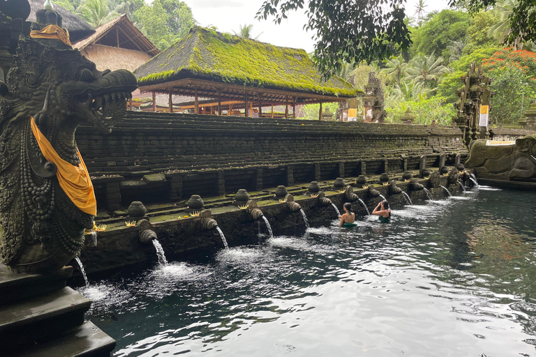 Bali: Private Ubud Highlights Tour with Customized Tour Temple, Monkey Forest, Waterfalls, & More (Without Tickets)