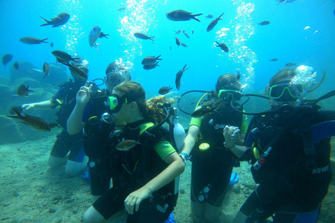 Santorini: Experiencia de submarinismo en la Caldera VolcánicaBuceo