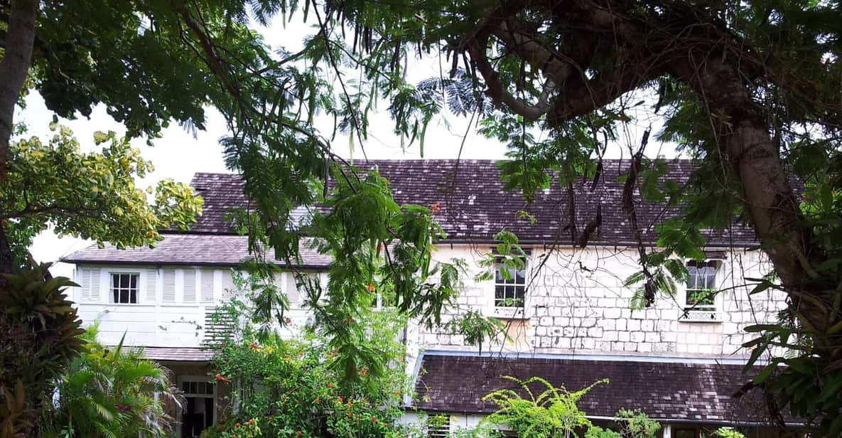 Greenwood Great House Private Tour from Montego Bay GetYourGuide