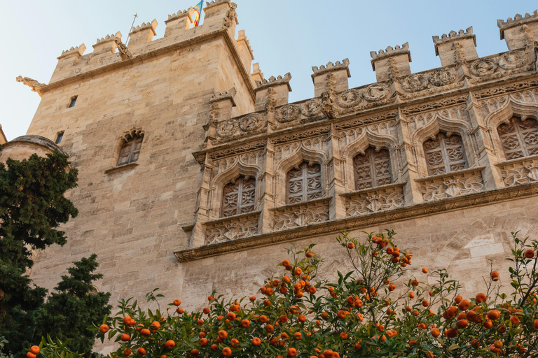 Valencia Monumental Tour: Your First Introduction to Valencia Valencia Monumental Tour: Your First Introduction to Valencia
