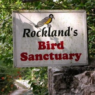 Rocklands Bird Sanctuary: 2-Hour Montego Bay Tour