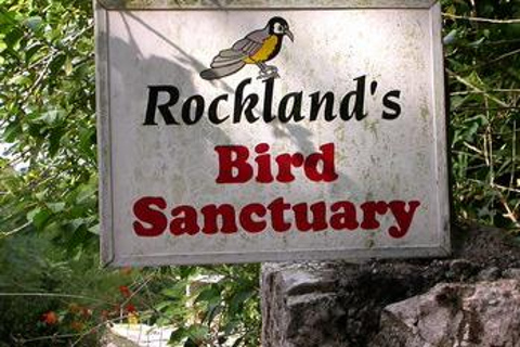 Rocklands Bird Sanctuary: 2-Hour Montego Bay Tour