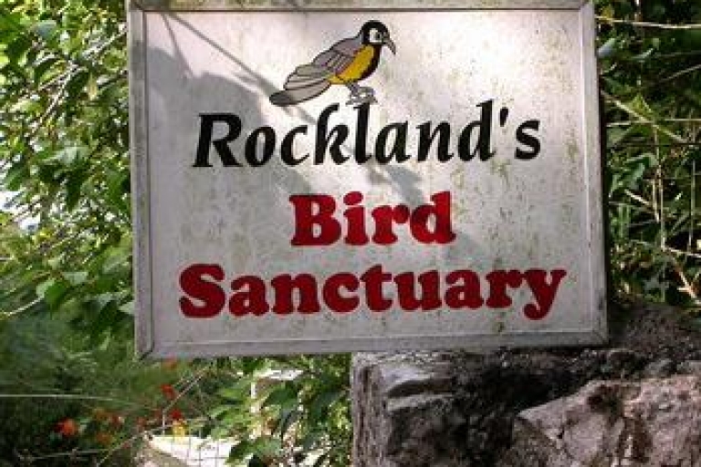 Rocklands Bird Sanctuary: visite de 2 heures à Montego Bay
