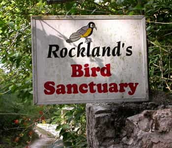 rocklands bird sanctuary 2hour montego bay tour