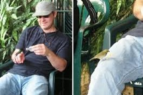 Santuario de aves de Rocklands: tour de 2 horas por la bahía de Montego