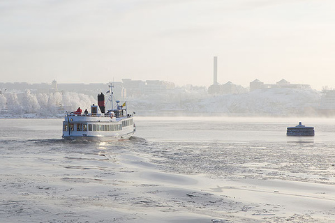 Tour en bateau de Stockholm en hiverStockholm : croisière hivernale