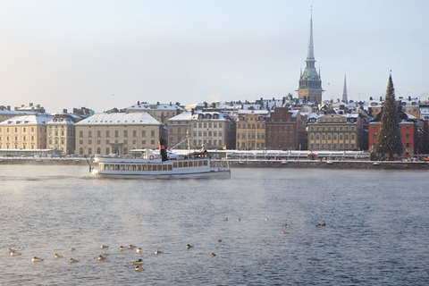 Stockholm Winter Tour mit dem BootStockholm: Winterliche Bootstour