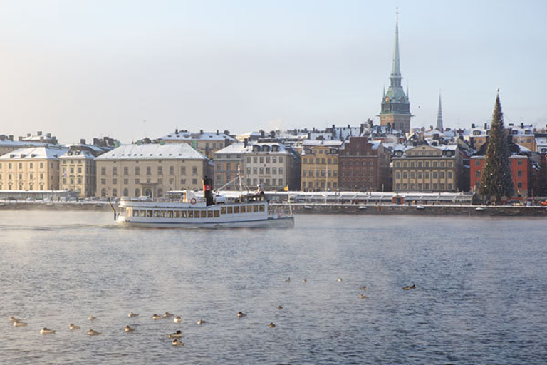 Stockholm Winter Tour mit dem BootStockholm: Winterliche Bootstour