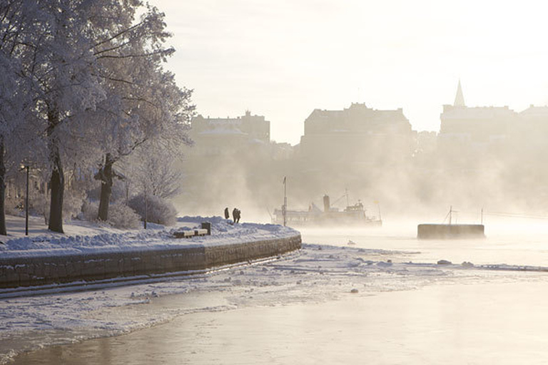 Stockholm Winter Tour mit dem BootStockholm: Winterliche Bootstour