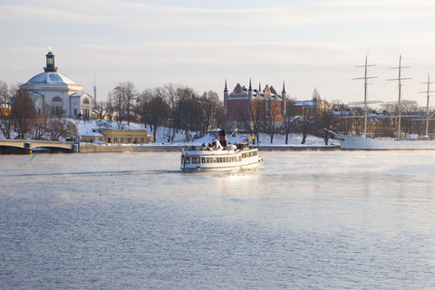 Stockholm Winter Tour mit dem BootStockholm: Winterliche Bootstour