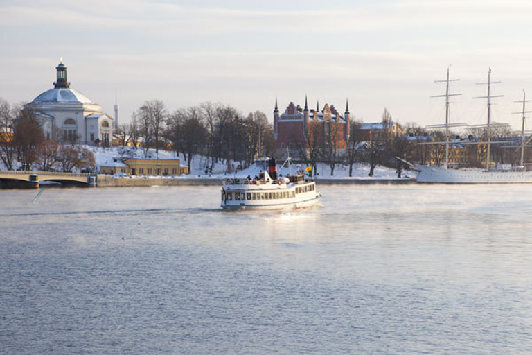 Tour en bateau de Stockholm en hiverStockholm : croisière hivernale