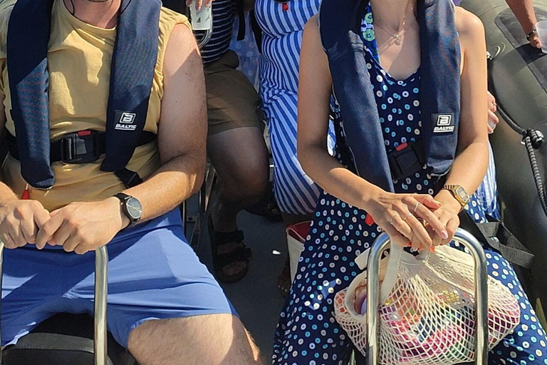 圣米格尔岛：火山奇观、洞穴与历史游船之旅