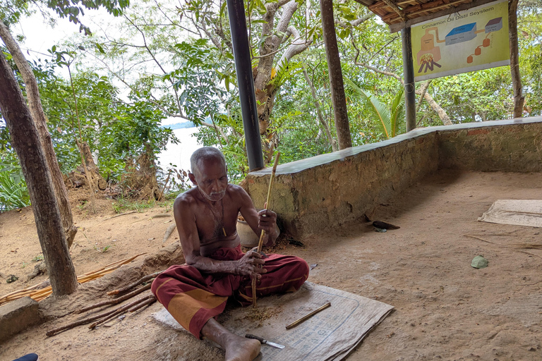 From Colombo: Day trip to Galle Dutch Fort & Turtle Beach