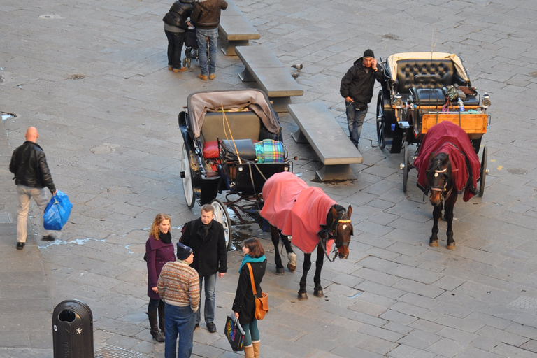 Florence: 2-Hour Customized Private Guided Tour