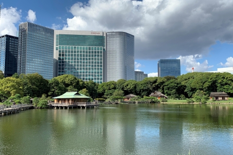 Tokyo : 1 jour de visite privée sur mesure de Tokyo