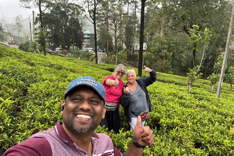 Kandy Temple, Tea & Tradition – An Authentic Experience