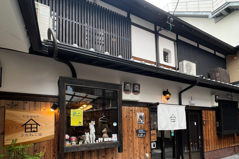Kyoto:Ethical Cat Retreat & Matcha Whisking (Private/Shared) Shared 60 min (up to 6 guests) — Per person