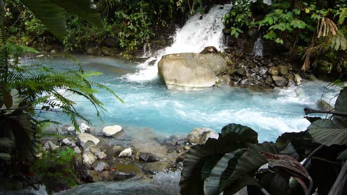the blue river resort hot springs fullday adventure