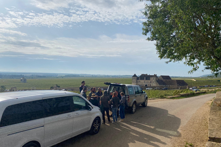 Small group full day tour in the Burgundy vineyards