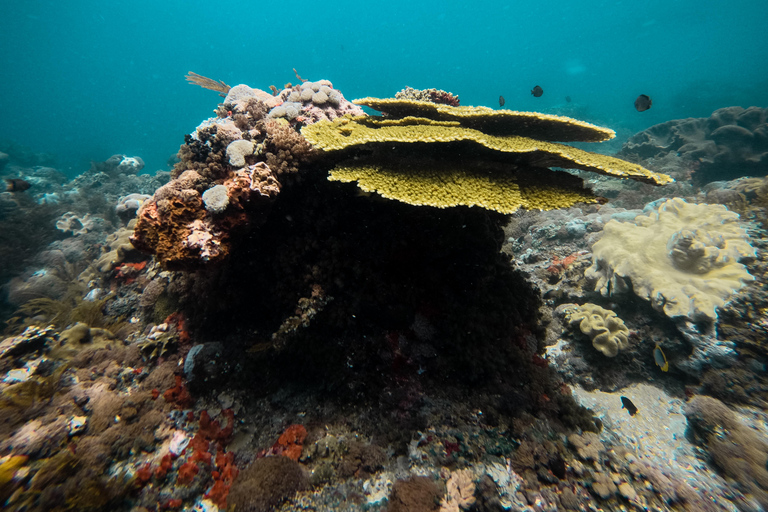 Nusa Penida: Snorkeling 3 Spots with GoPro & West Land Tour Snorkeling 3 Spots with West Land Tour - Meet at Penida Port