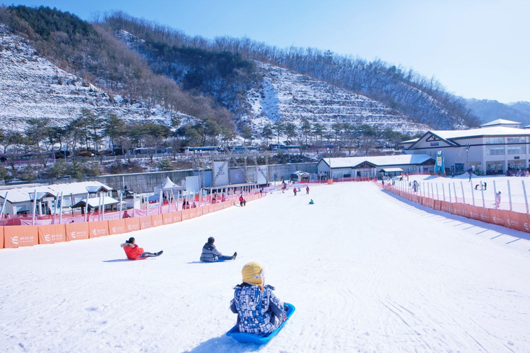 Seul: Jednodniowa wycieczka do ośrodka narciarskiego ElysianOdjazd ze stacji Myeongdong, wyjście 4 - Sled