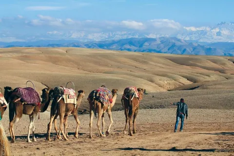 Marrakech: Puesta de sol en el desierto de Agafay, paseo en camello y cena espectáculo