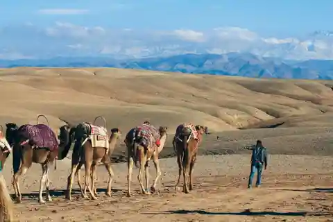 Marrakesch: Sonnenuntergang in der Agafay-Wüste, Kamelritt und Dinner-Show