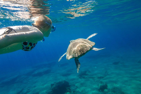 Alanya: Catamaran Cruise with Lunch, Drinks, & Transfer Catamaran Cruise with Lunch & Drinks (Meeting Point