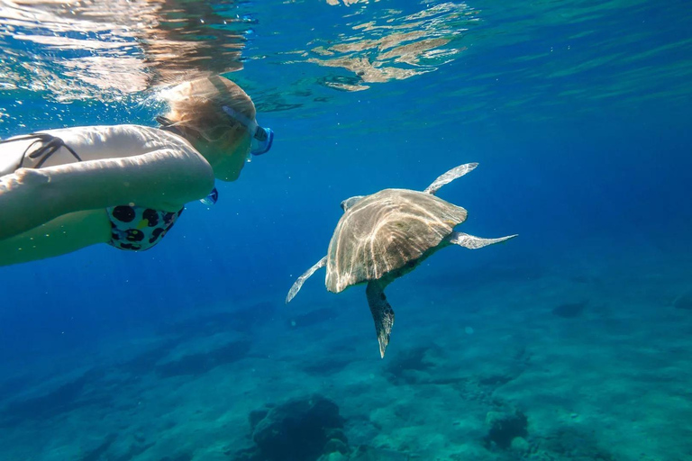 Alanya: Catamaran Cruise with Lunch, Drinks, & Transfer Catamaran Cruise with Lunch & Drinks (Meeting Point