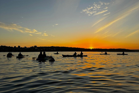 Sydney: Sunset Kayak Tour with Opera House Views