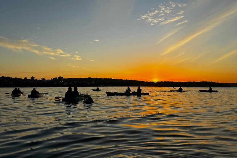 Sydney: Sunset Kayak Tour with Opera House Views