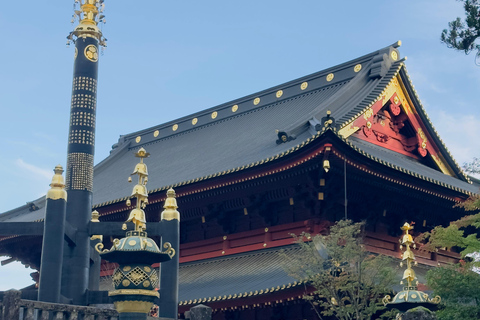 Nikko visite d&#039;une jounée privée avec chauffeur parlant anglais