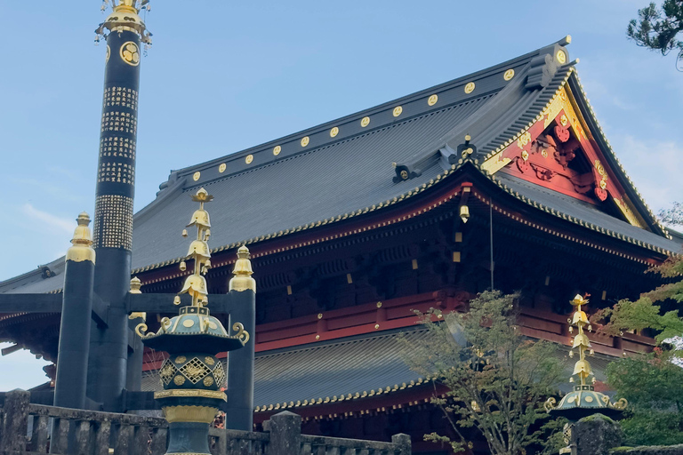 Nikko visite d&#039;une jounée privée avec chauffeur parlant anglais