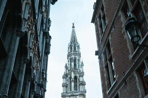 From Amsterdam: Guided tour to Antwerp and Brussels