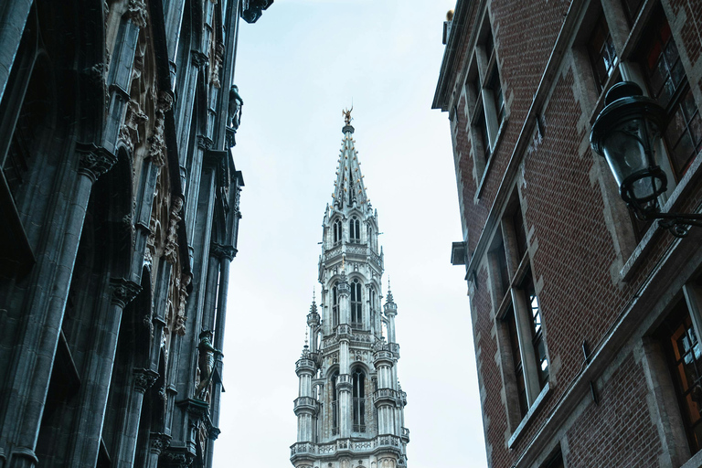 From Amsterdam: Guided tour to Antwerp and Brussels