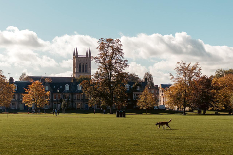 Utforska Cambridge med familjen - vandringstur