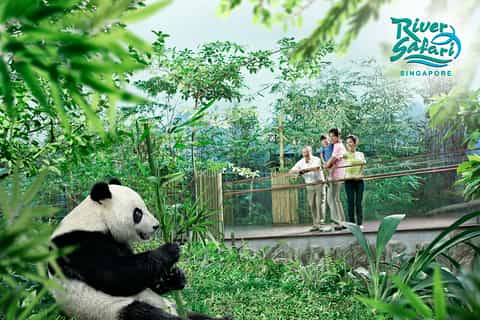Singapur: Wildlife-Erlebnis und Fluss-Safari mit Abholung