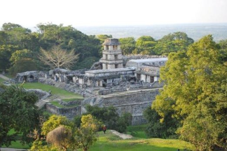 Ruiny Agua Azul, Misol-Ha i PalenqueWycieczka w języku hiszpańskim z przewodnikiem w cenie