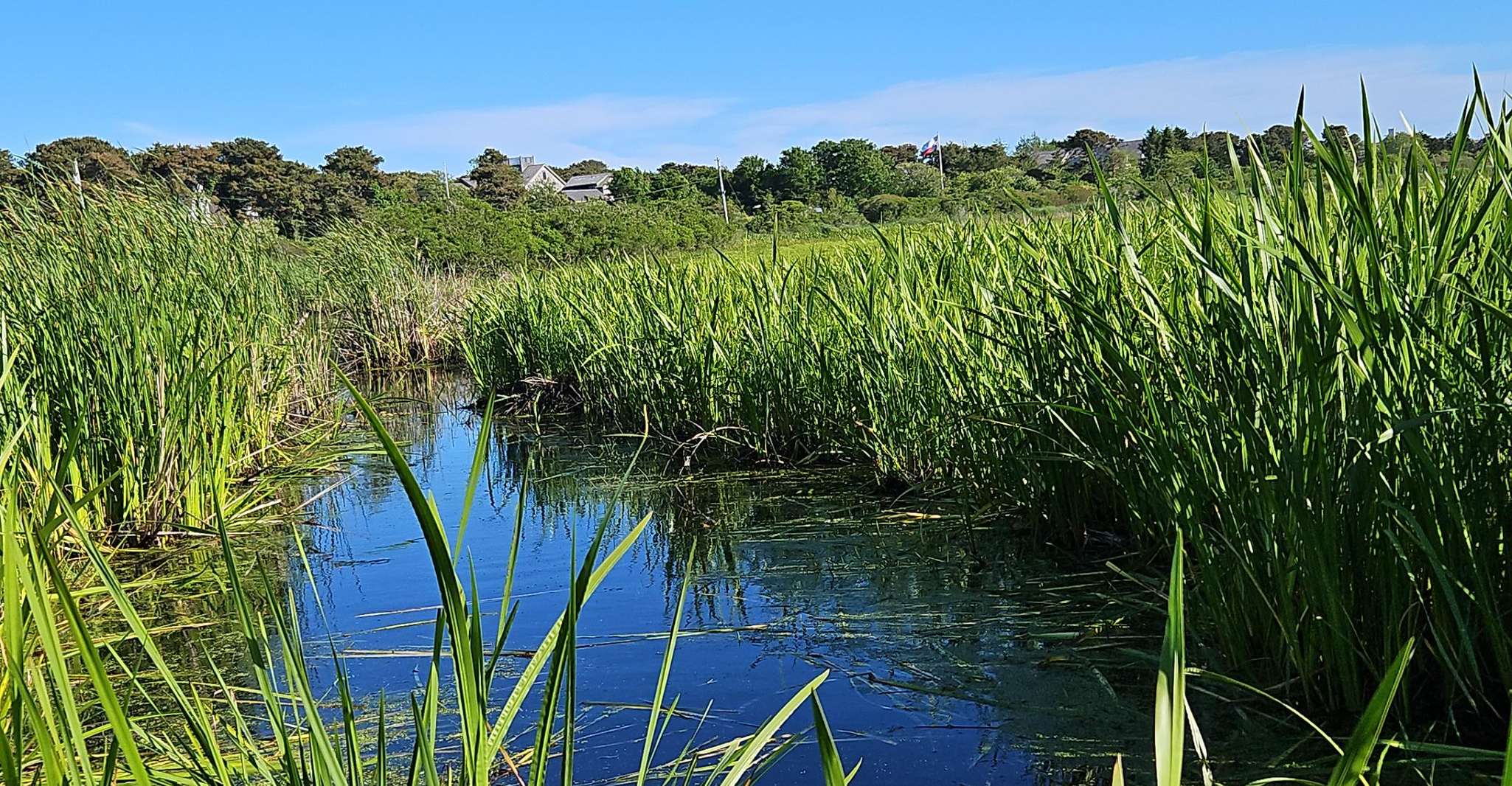 Nantucket: Historical Landmarks Sightseeing Bus Tour photo 4