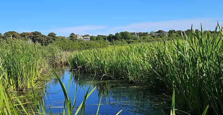 Nantucket: Historical Landmarks Sightseeing Bus Tour photo 4